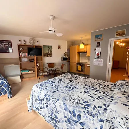 Apartment Gare Metz
